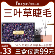 Clover eyelash grafting 3D flowering soft mink fur Camellia Beauty cicre shop special fairy y y eyelash