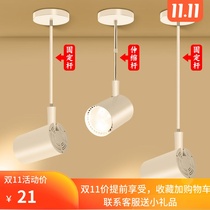 Spotlight LED track light Telescopic long pole boom rail light Clothing store Industrial wind long arm surface mounted horizontal mounted wall