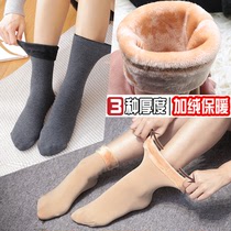 Socks Womens winter New snow socks in socks plus velvet thickened warm floor socks adult warm socks meat color
