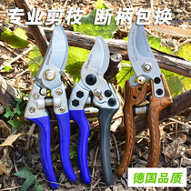 Cutting scissors garden scissors flower art pruning branches scissors fruit tree scissors thick Flower Branch scissors horticultural scissors tools
