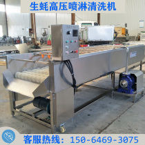 Large oyster wool roller cleaning machine parallel conveying oyster washing Moss equipment automatic discharge large commercial