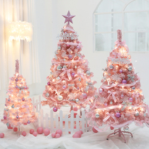 Christmas Net red ins Wind pink flocking Christmas tree set meal 1 2 meters 1 5 meters shopping mall window home decoration