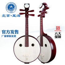 Xinghai Zhongruan musical instrument beginners introduction Color wood bone flower steel flower rich headdress Zhongruan piano 8571YW