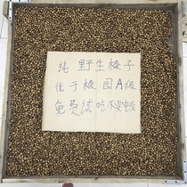 (2021 New hazelnut level) Northeast specialty wild Tieling water leakage small hazelnut nut 500g special