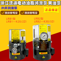 Zhejiang flow over lubricating oil pump 2ZII Yangli wide forging punch press electric yellow oil pump LRB1-K20 2ZI 2ZKI