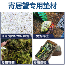 Hermit crab special mat Philippine coral sand decoration landscape substrate bottom sand Moss moisturizing coconut brick