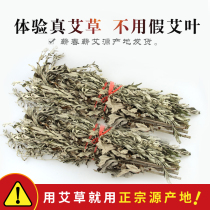 Hubei dry wormwood with rod foot bath children bath Chichun Chichun with stem Ai leaf smoke disinfection household Ai leaf grass