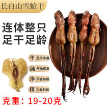 Northeast Changbai Mountain Snow clam oil Snow clam cream Forest frog toad oil Snow clam dry goods(19-20 grams)