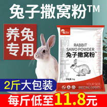 Rabbit Sprinkle Pink Rabbit With Fungus Pink Rabbit White Diarrhea Mother Rabbit With Breeding Standing Fungus Infected Mites Dermatosis