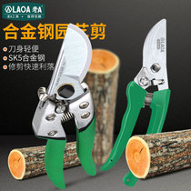 Old a garden gardening scissors gardener pruning branches scissors fruit branch scissors haircut scissors pruning scissors pruning scissors