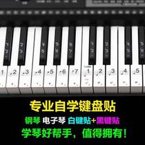 New hand roll piano keyboard sticker 88 key 61 keyboard button sticker professional version of Stair