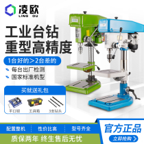 Lingou Z516 Z4120 16mm20mm industrial high precision bench drill Household heavy drilling machine West Lake with the same