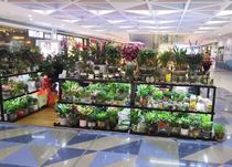 Supermarket shopping mall flower shop Potted plant display multi-storey container outdoor stalls night market street display shelf