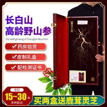 Ginseng Changbai Mountain Wild Ginseng Forest Ginseng Dry Goods Wild Northeast Ginseng Gift Box Spicy Wine Soup 30 Years Fresh Ginseng