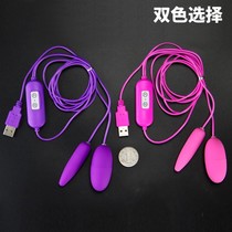 Adult sex toys USB straight-in frequency conversion strong vibration double jumping eggs waterproof silent masturbation utensils for men and women