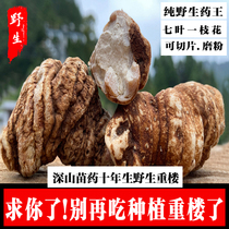 Pure wild dianchonglou heavy building traditional Chinese medicine Monologen seven-leaf flower dry goods 250g rest Grass River car