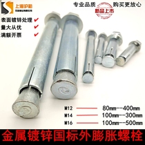 GB metal external expansion screw galvanized iron large head expansion bolt M12M14M16 * 80*100 *-500