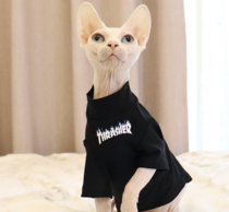  Sphinx German hairless cat clothes spring and summer pure cotton thickened tide brand printing half sleeve bottoming