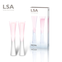 UK imported LSA handmade colored crystal glass champagne cup set creative wedding sparkling wine glass gift box