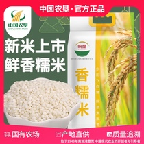 (China Agricultural Reclamation) Wanken glutinous rice 2 5kg nutrition coarse grain grains full belly cooked porridge breakfast eight treasure porridge rice