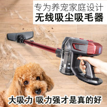 Pet electric hair absorber bed cat hair dog hair sticky wool device cat hair removal hair removal cleaning handheld vacuum household