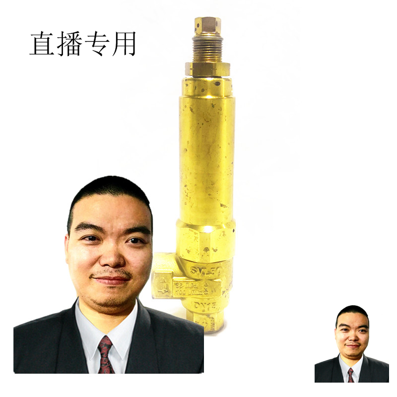 24-Li Cheng cleaning equipment water gun wire pipe live monopoly AR500 kg safety valve