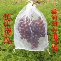 Vines special bagging and anti-bird nets bag loaded sweet potatoes Potato Woven Gauze Bag Fruit Bag Plastic Mesh Pocket