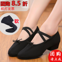 Dance shoes womens soft bottom practice shoes adult canvas teacher shoes childrens yoga ethnic belly black heels classical dance