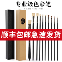 Whiteboard gouache pen Special oil painting pen for art students log color demon color student pen 10 packs 2021 new hot-selling acrylic paint brush professional fan-shaped pen joint examination pen art