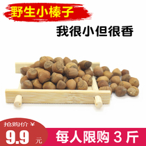 Northeast wild hazelnuts Tieling Kaiyuan specialty mountain hazelnuts small grains very small fried 500g bulk new goods