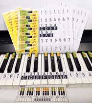  Piano Keyboard Stickers Watermelon Piano Stickers Chord Table Selfie Stand Self-study Kit