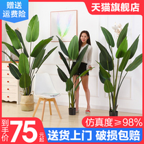 Nordic large window simulation plant landing traveler banana tree fake potted indoor green plant decoration scattered tail sunflower decoration