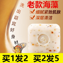 Strong Soft Seaweed Body Soap 150g Firm Skin Rejuvenation Bath Soap