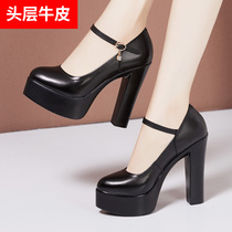 Ao Manlin leather soft leather 13cm pointed thick head with black model cheongsam catwalk high shoes female size 3233 yards