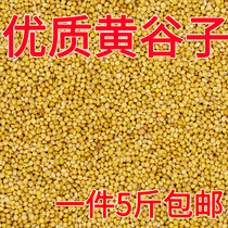 New yellow millet with Shell Millet Bird Food bird food parrot feed tiger skin peony Xuanfeng Wen bird small and medium Bird 5kg