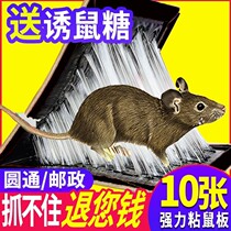  20 sheets of super glue to catch mice sticky mice strong sticky mice clamp force sticky boards sticky mice stick mice w 