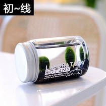 Happy Mari Mo seaweed globule nutrient solution micro landscape ecological bottle mini potted plant water bottle