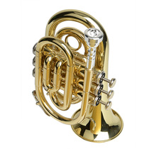 Baja Palm Horn Instrument Pocket Trumpet Instrument Portable Palm Horn Down B Cornet Promotion