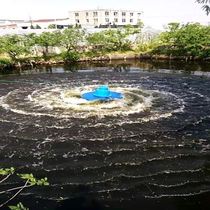 Rich impeller aerator gushing aerator pond water aerator fish pond aerator
