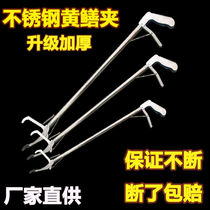 Anti-slip stainless steel yellow eel clamp mud loach for snake tool eel pliers lengthened crab clamp litter clip to catch sea deity