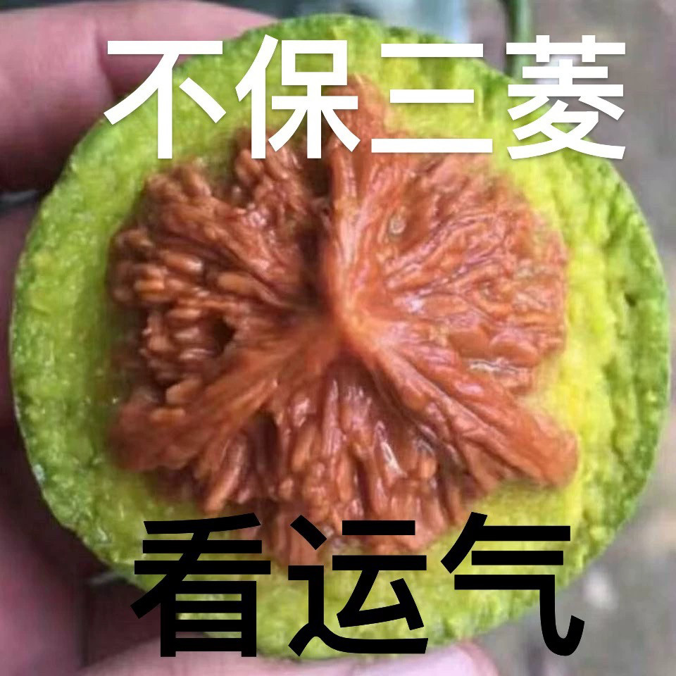 盘山三棱核桃-盘山三棱核桃促销价格、盘山三棱核桃品牌- 淘宝