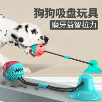 Dog toy suction cup tension resistant to bite molars to solve the problem