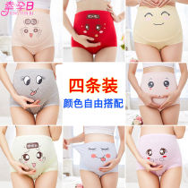 Pregnant women's underwear red original year cotton high waist second trimester third trimester large size festive belly briefs