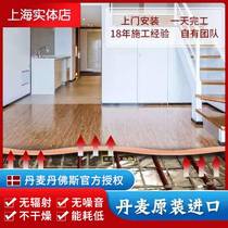 Electric floor heating Household electric geothermal floor heating installation Denmark Danfoss double guide imported heating cable system
