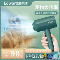 Pet hair dryer for dogs Large and small dogs and cats Blow dog hair artifact High-power Teddy electric water blower