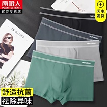 Teen panties male developmental middle school boys 13 cotton boxers 14 adults 15 boxer shorts 16 years old