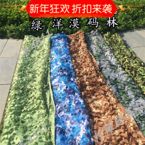 Ceiling protection net shade net grass green wall wall green New Family personality shade net garden green net