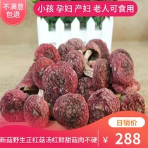 21 New goods Fujian Sanming authentic natural wild red mushroom Alpine red vertebral fungus moon red mushroom dried goods 250g