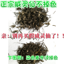 Authentic Weilingxian 500g Chinese herbal medicine without sulfur video to distinguish between true and false clean and no impurities free powder