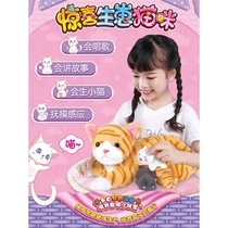 Talking baby cat simulation Cat plush toy childrens doll electric pet girl cat cat
